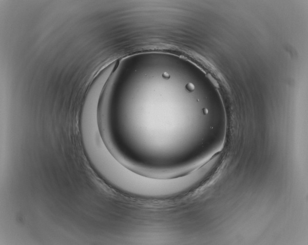 X0000115220889200911121922