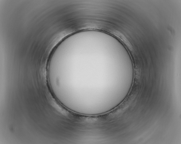 X0000115220890200911121922