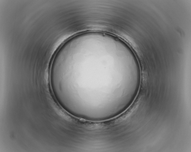 X0000115220891200911121922