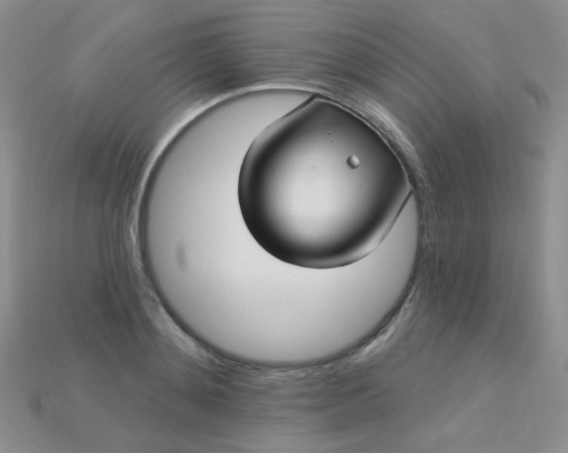 X0000115220892200911121922