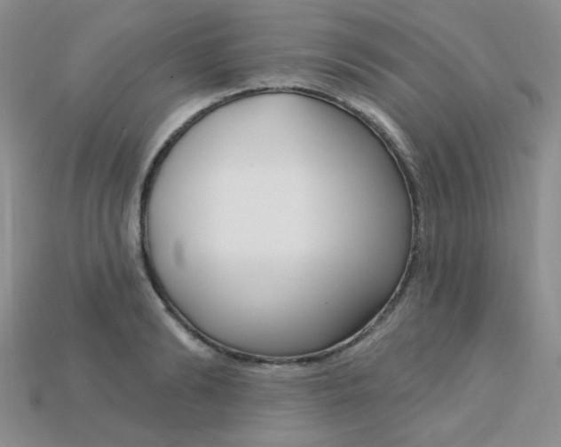 X0000115220894200911121922