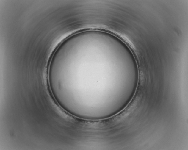 X0000115220895200911121922