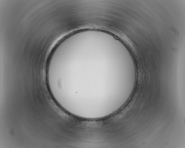 X0000115220896200911121922