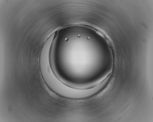 X0000115220897200911121922