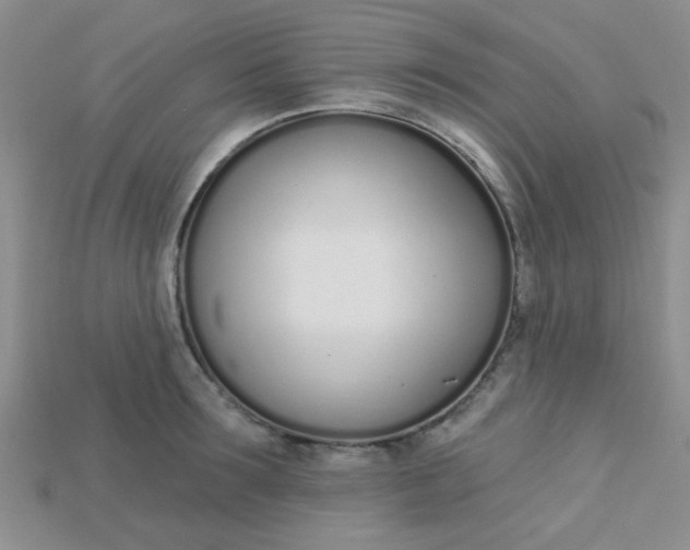 X0000115220899200911121922