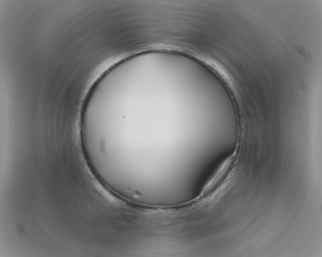 X0000115220902200911121922
