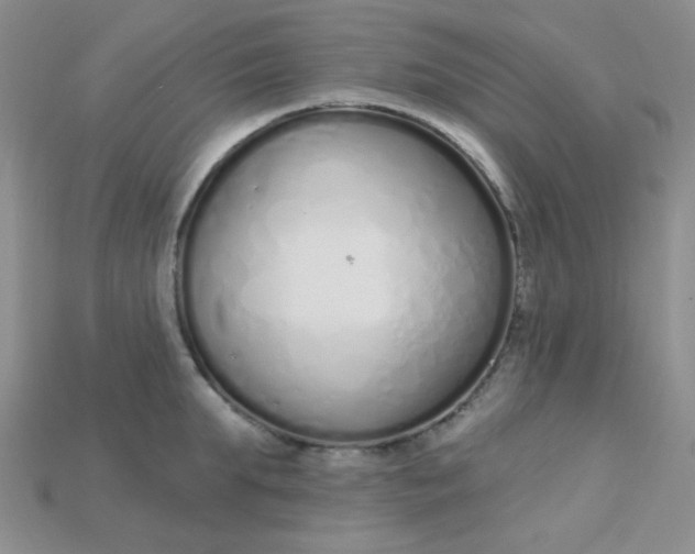 X0000115220903200911121922