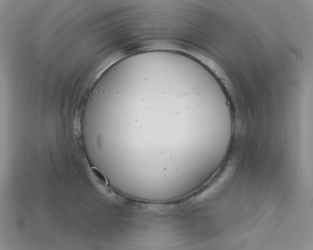 X0000115220905200911121922