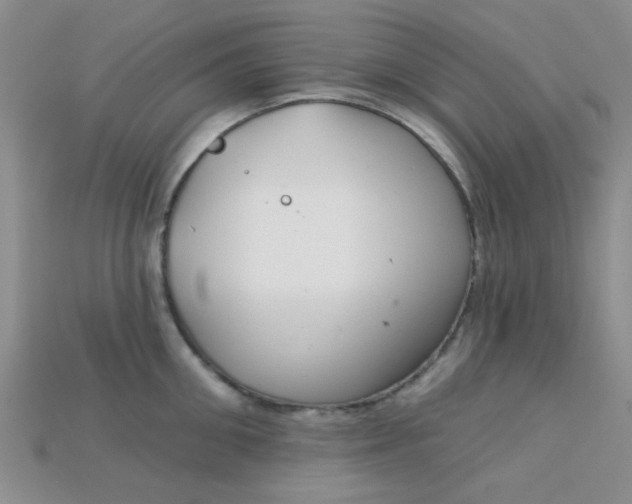 X0000115220906200911121922