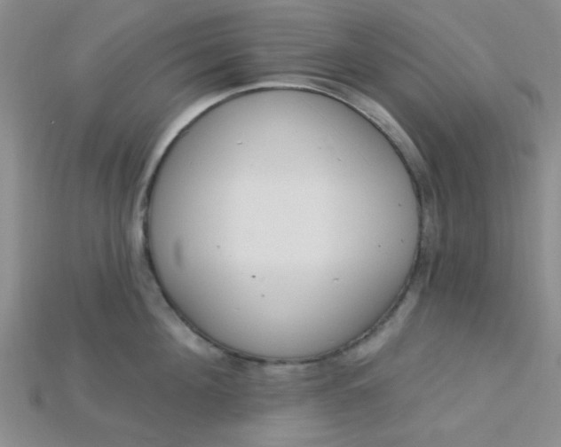 X0000115220908200911121922