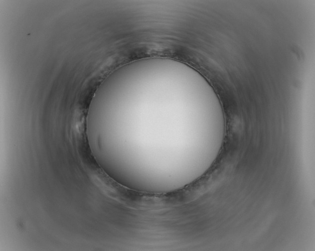 X0000115220914200911121921