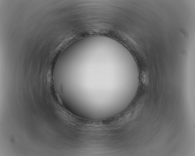 X0000115220915200911121921