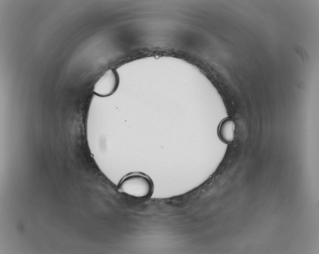 X0000115220918200911121921