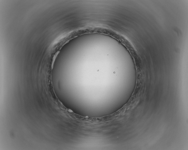 X0000115220919200911121921