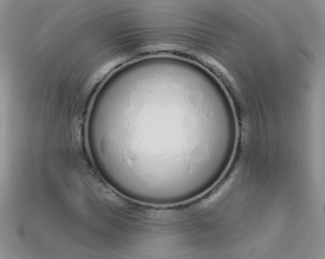 X0000115220921200911121921