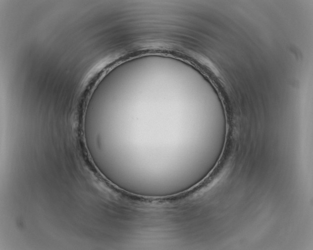 X0000115220922200911121921