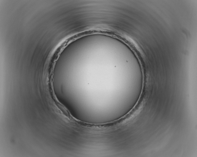 X0000115220923200911121921