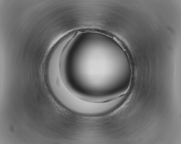 X0000115220925200911121921