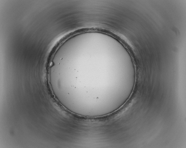 X0000115220927200911121922