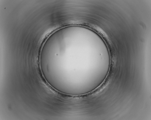 X0000115220930200911121922