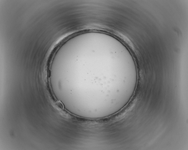 X0000115220931200911121922