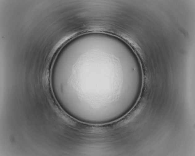 X0000115220933200911121922