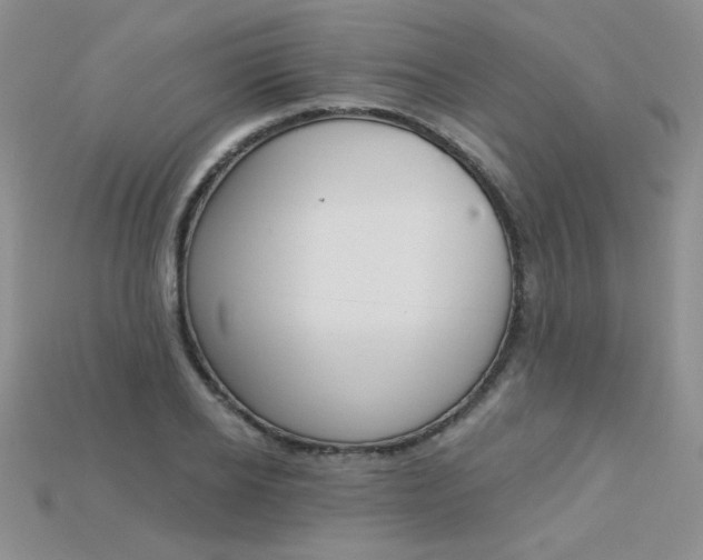 X0000115220934200911121922