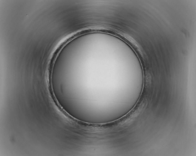 X0000115220935200911121922