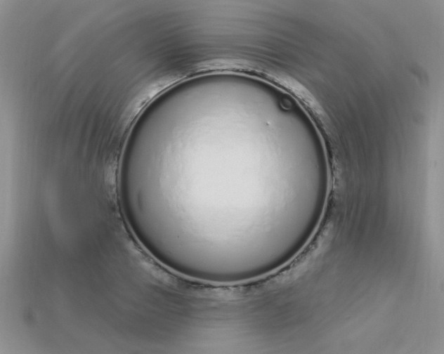 X0000115220937200911121922
