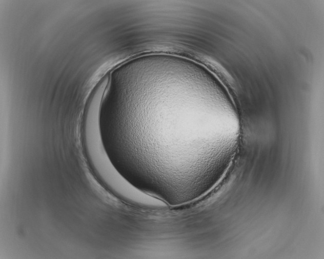 X0000115220938200911121922