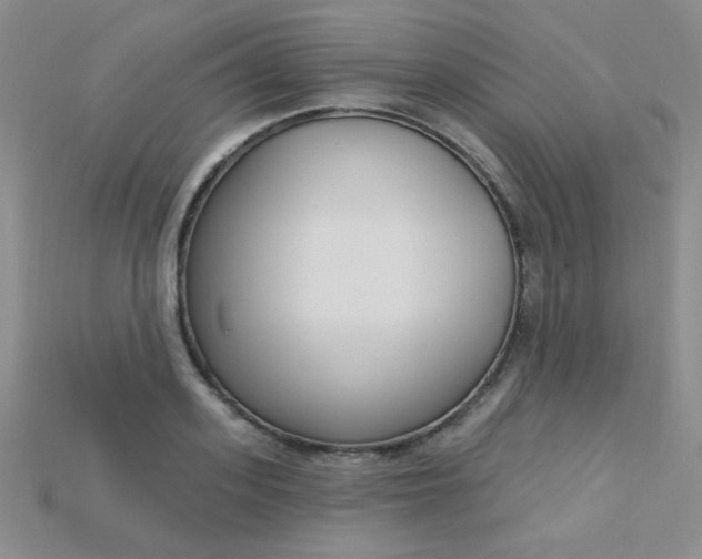 X0000115220939200911121922