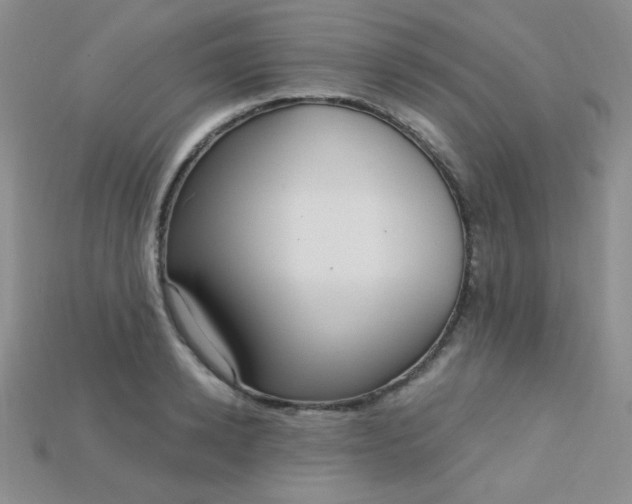 X0000115220942200911121922