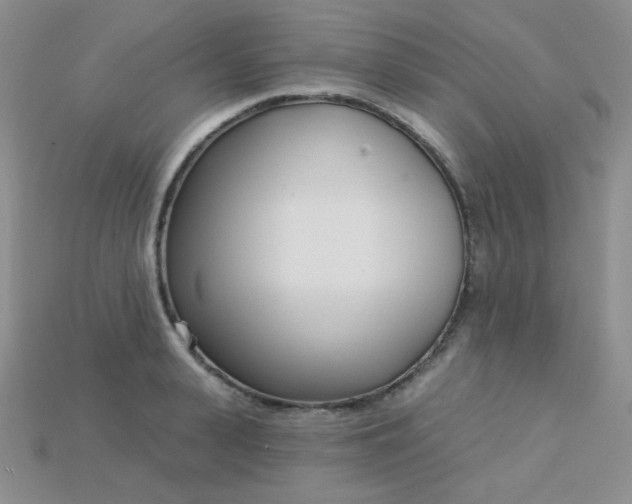 X0000115220943200911121922