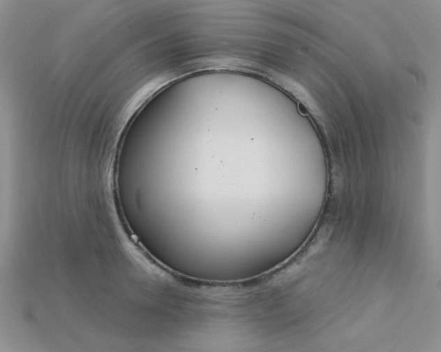X0000115220946200911121922