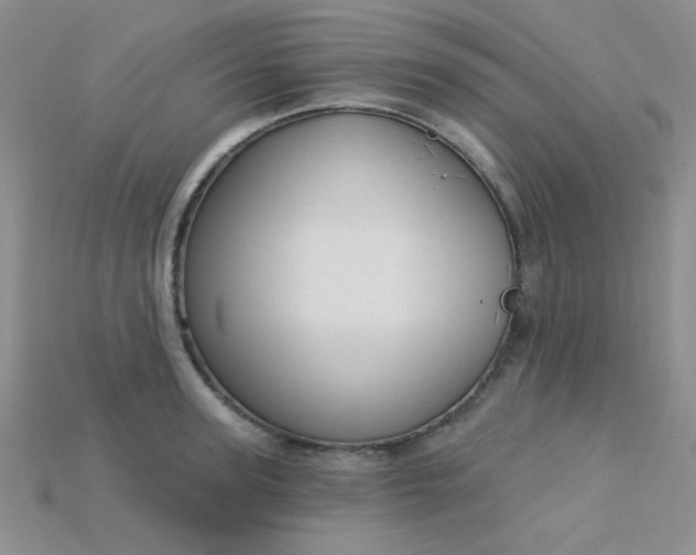 X0000115220947200911121922