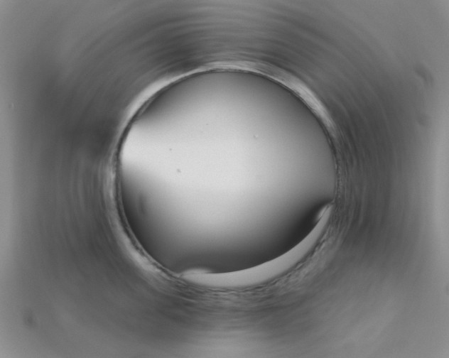 X0000115220955200911121922
