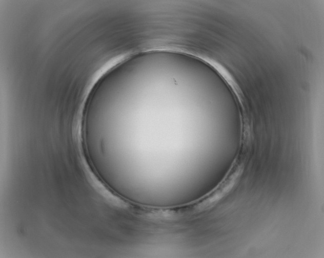 X0000115220957200911121922