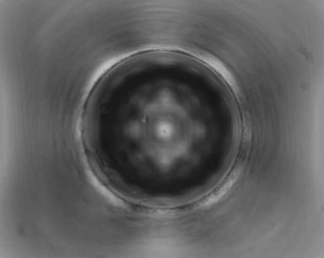 X0000115220958200911121922