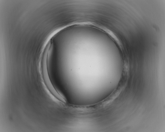 X0000115220959200911121922