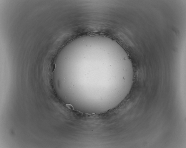 X0000115220961200911121921