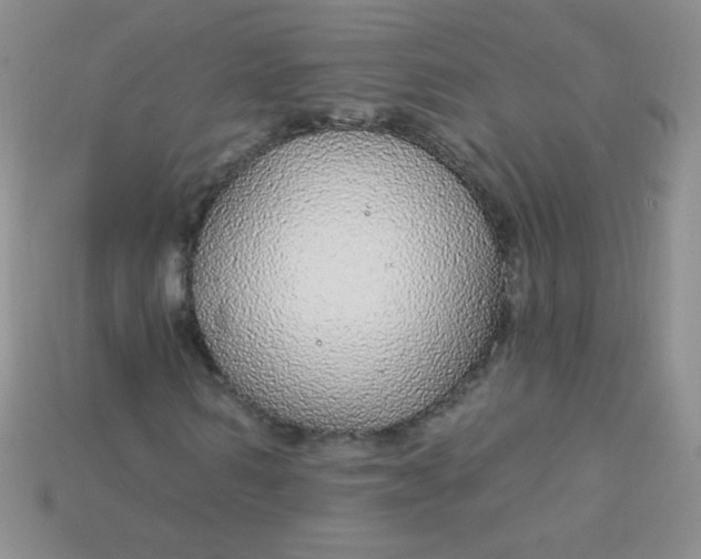 X0000115220962200911121921