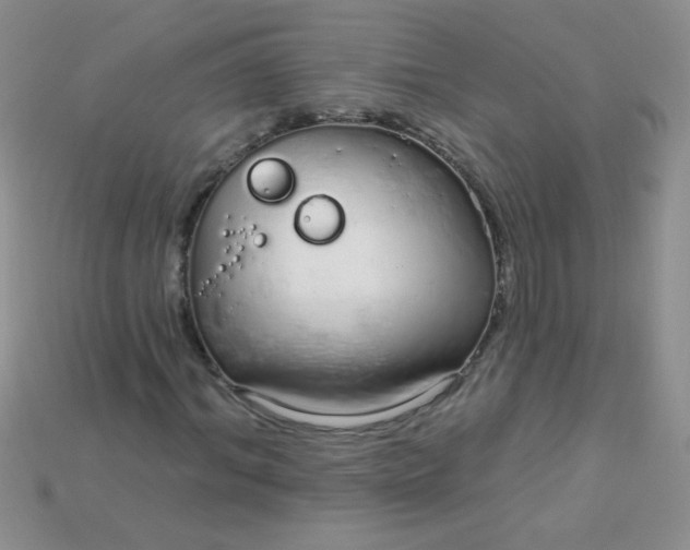 X0000115220964200911121921
