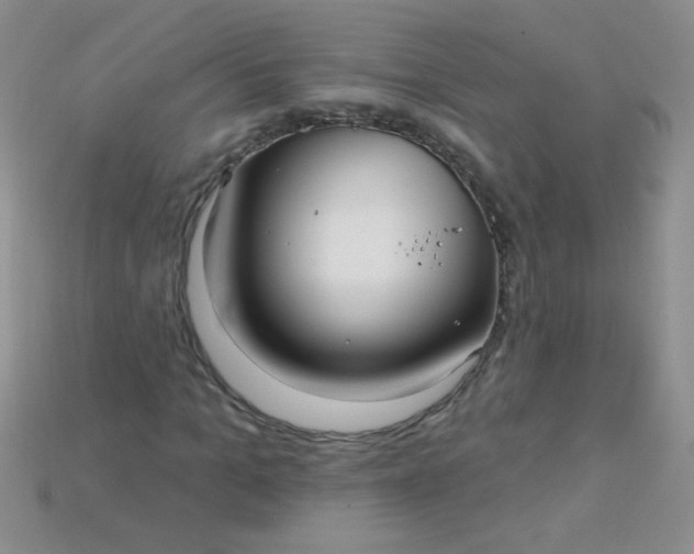 X0000115220965200911121921