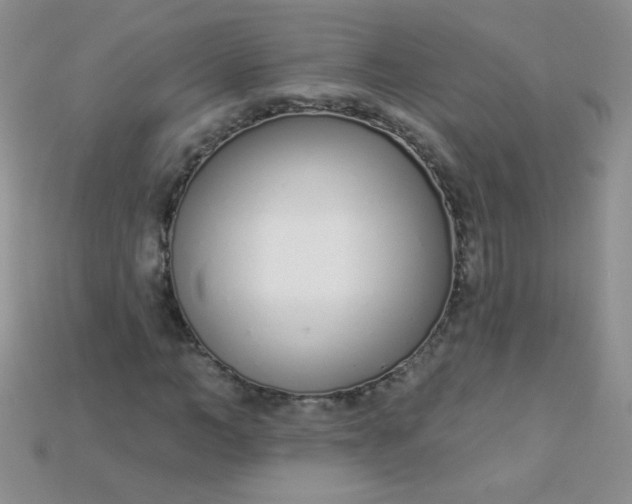X0000115220966200911121921