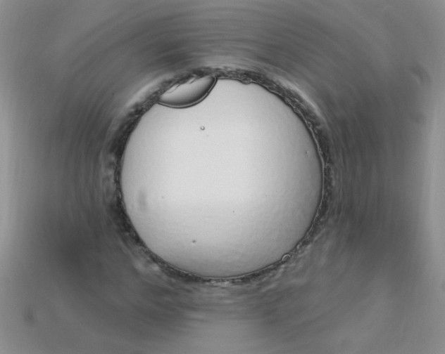 X0000115220968200911121921