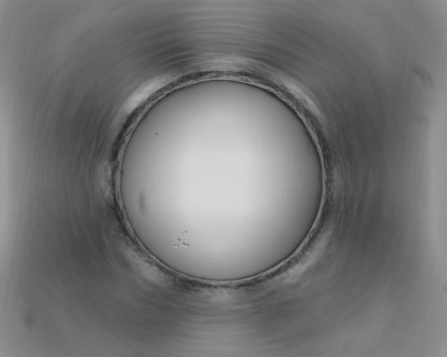 X0000115220970200911121921