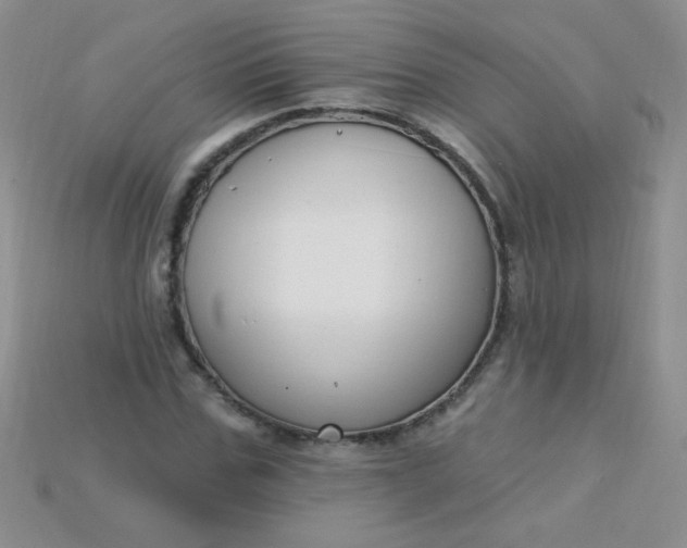 X0000115220971200911121921