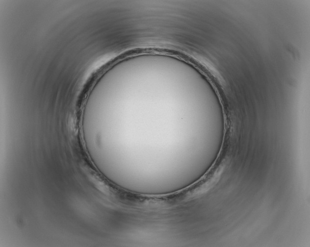 X0000115220974200911121921