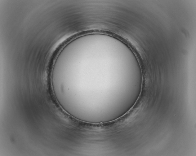 X0000115220975200911121921