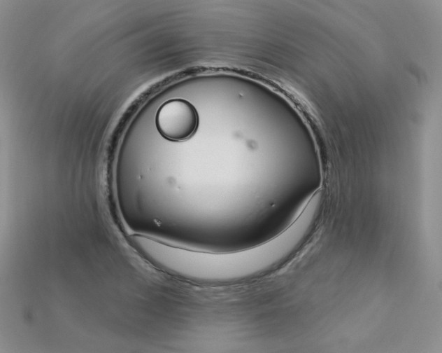 X0000115220976200911121921